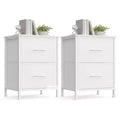 SONGMICS BELLAH Collection - Dressers for Bedroom, Chest of Drawers, 2 Drawers, Storage Organizer Unit, Set of 2, Modern